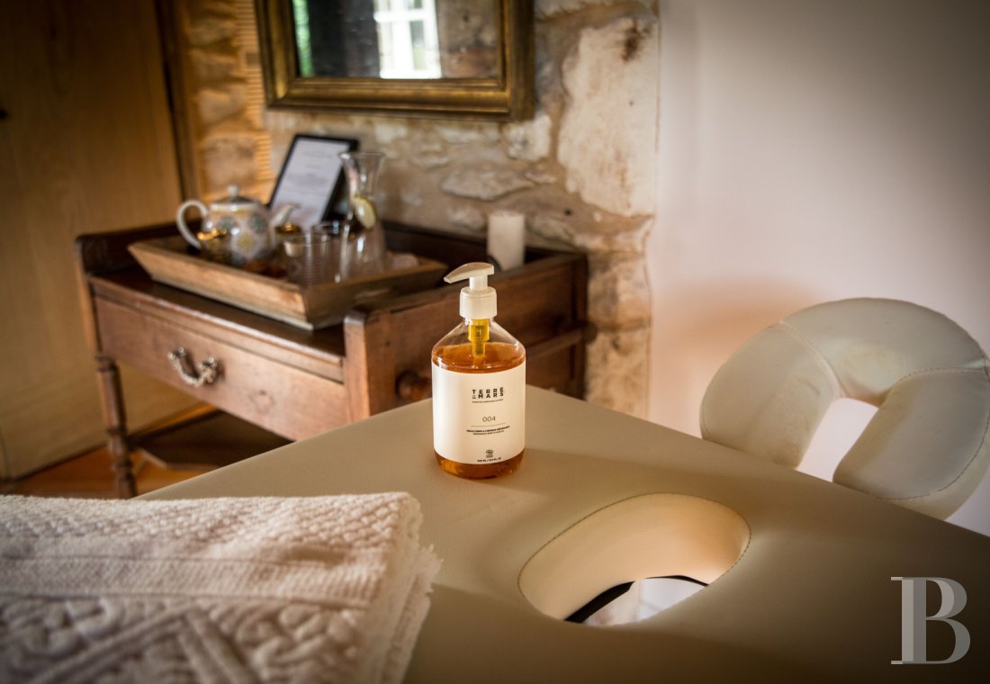 A 16th century mansion now serving as a guest housein the Périgord, not far from Bergerac - photo  n°26